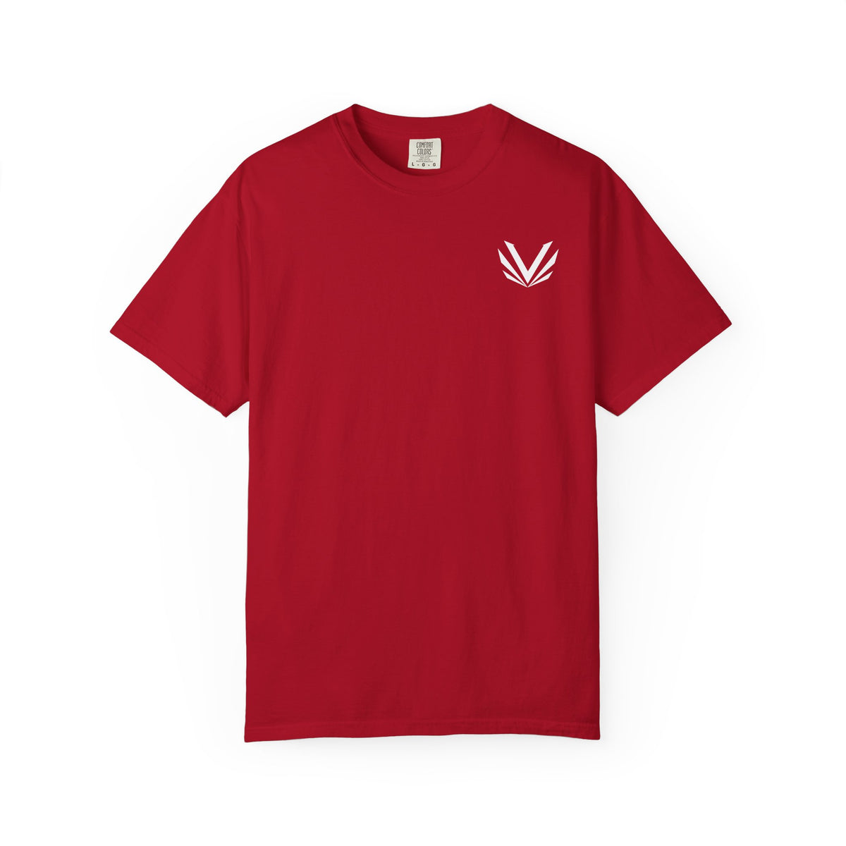 Skeletal T-Shirt Comfort Colors (Front And Back)